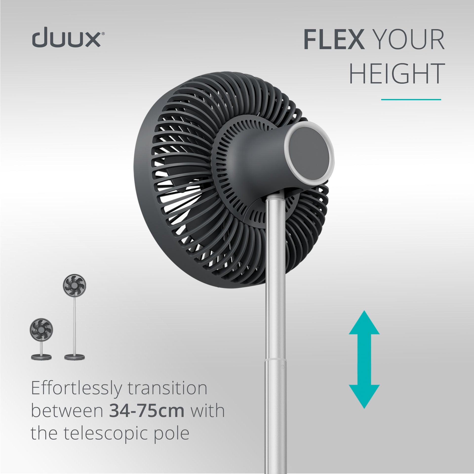 rize fan charcoal