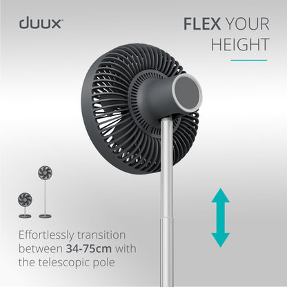 rize fan charcoal