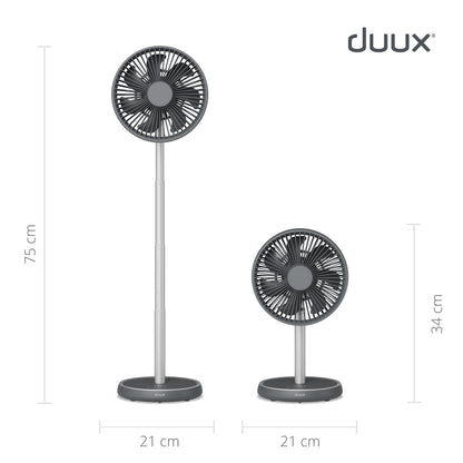 rize fan charcoal